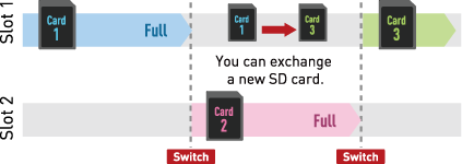 Dual SD Card Slot