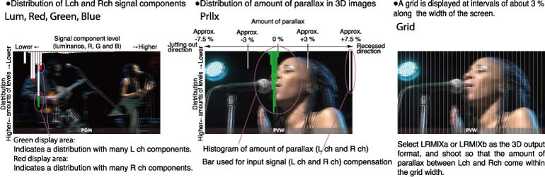 Distribution of Lch and Rch signal components, Distribution of amount of parallax in 3D images,A grid is displayed at intervals of about 3% along the width of the screen.