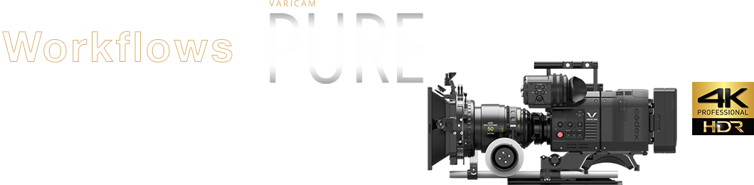 Panasonic Varicam Pure