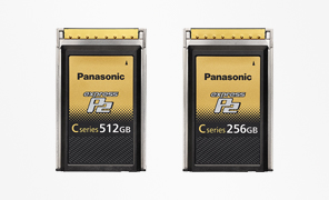 Panasonic AJ-P2AD1G - Adaptateur carte mémoire micro P2 ou carte SDHC