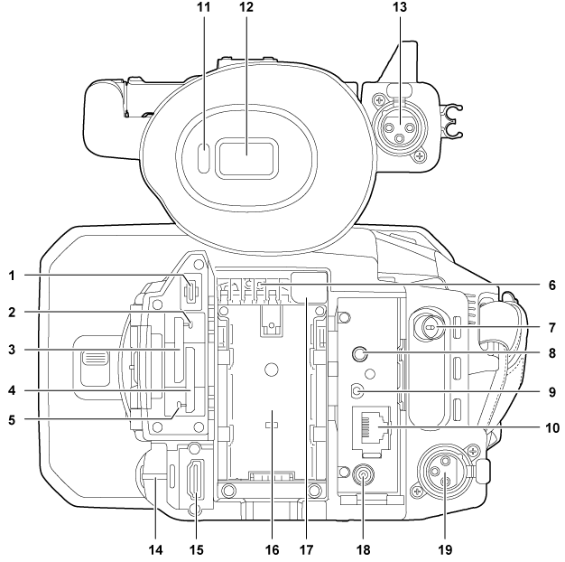 body_parts_backside_C2