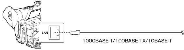 co_body_LAN