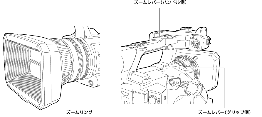 co_zoom_body