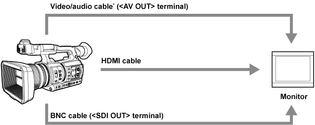 co_body_externaldevices_monitor