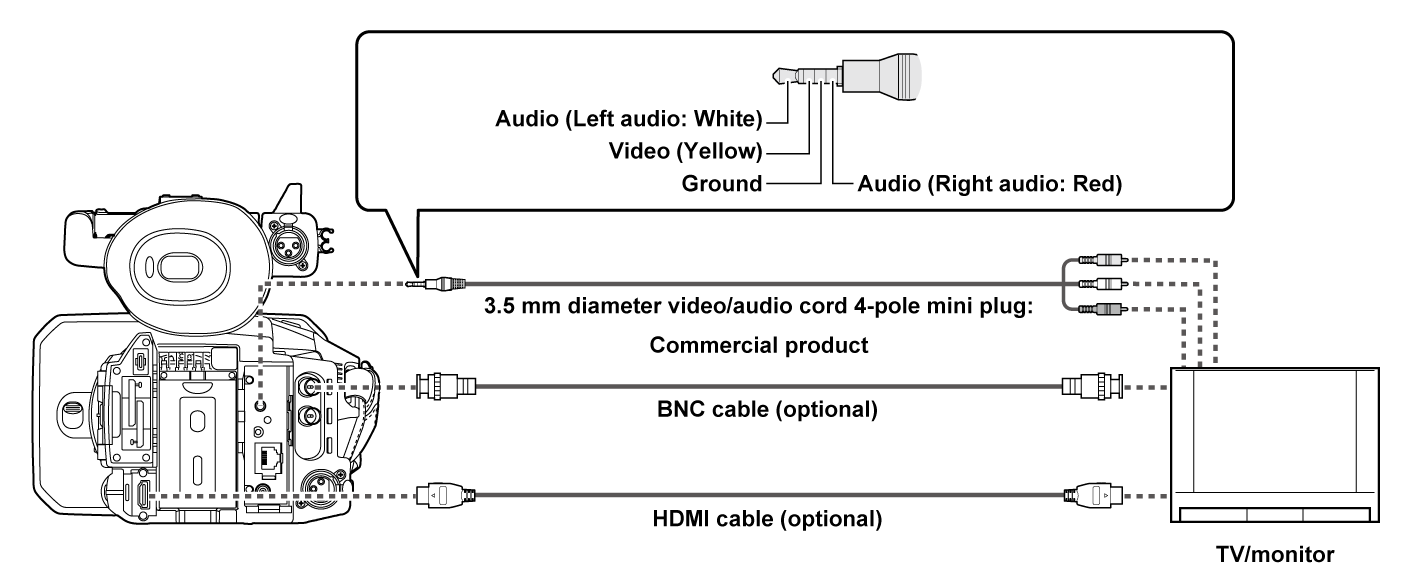 co_body_connect_tv