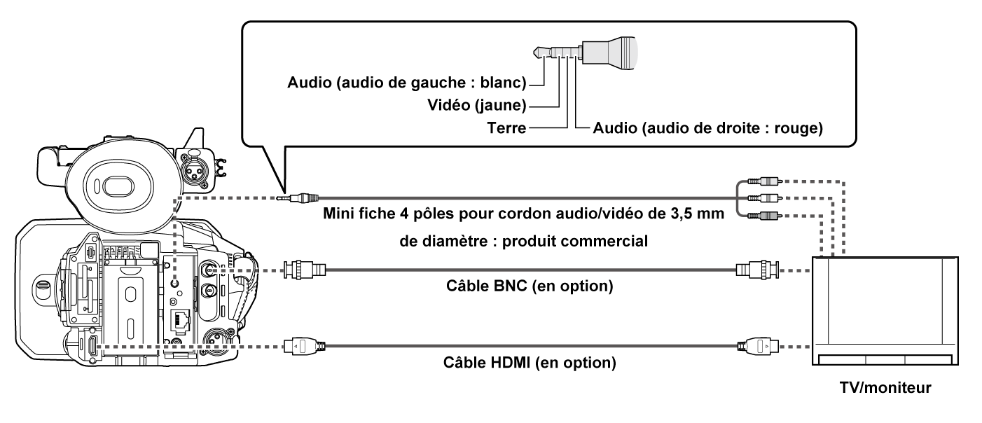 co_body_connect_tv