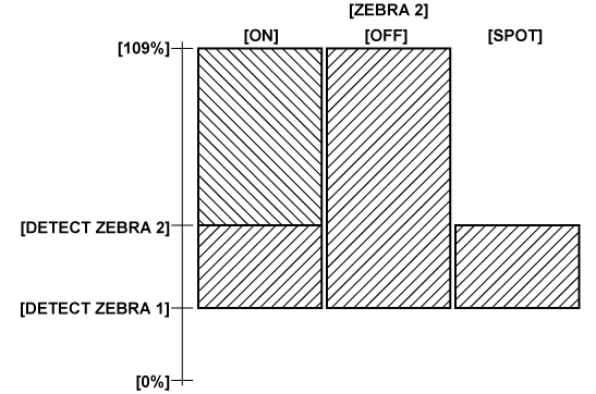 co_other_zebra