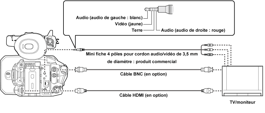 co_body_connect_tv
