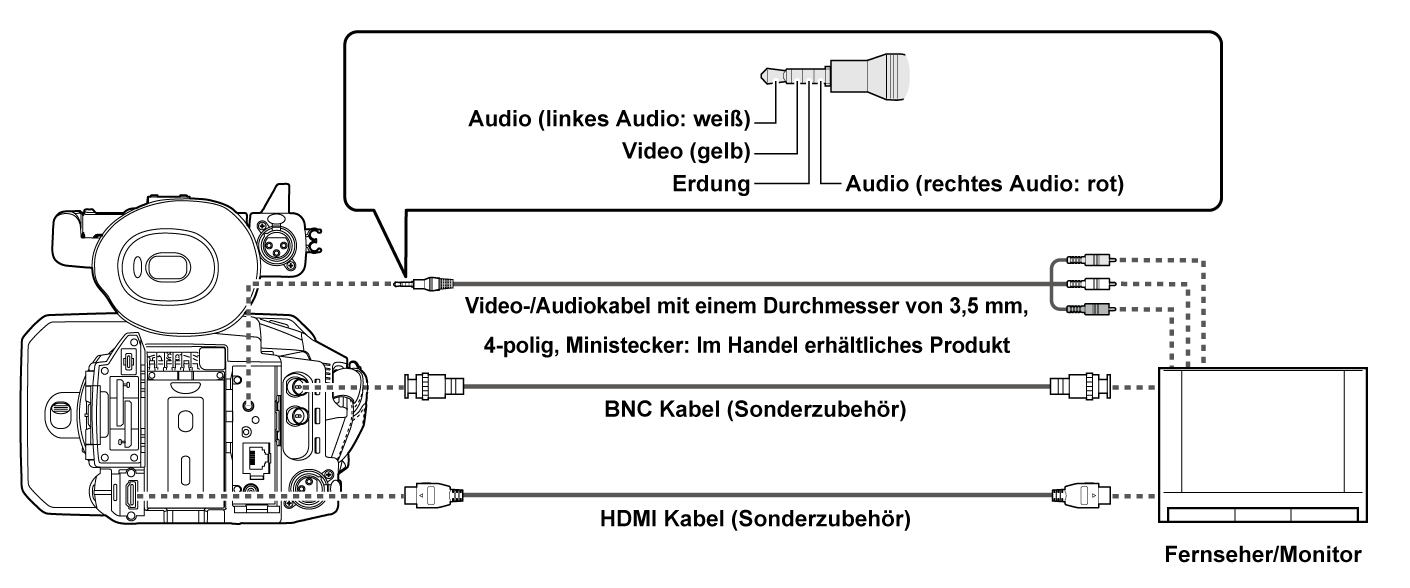 co_body_connect_tv