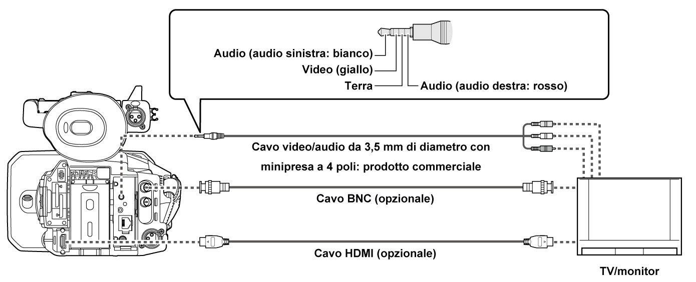 co_body_connect_tv