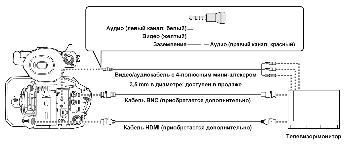 co_body_connect_tv