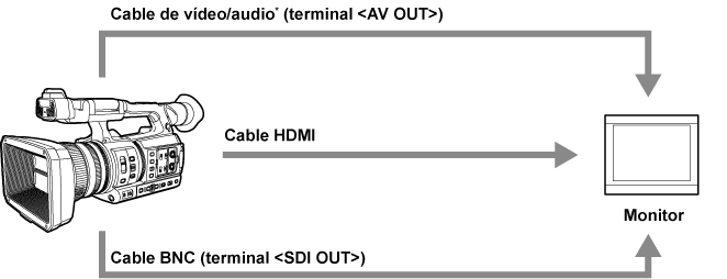 co_body_externaldevices_monitor