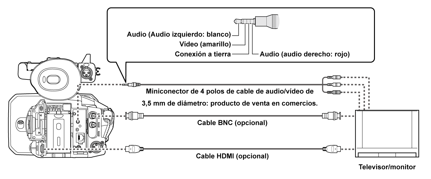 co_body_connect_tv
