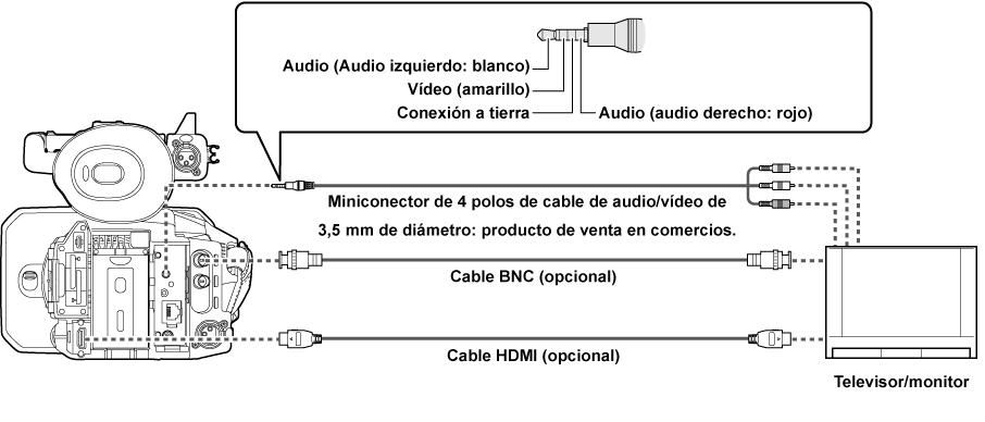 co_body_connect_tv
