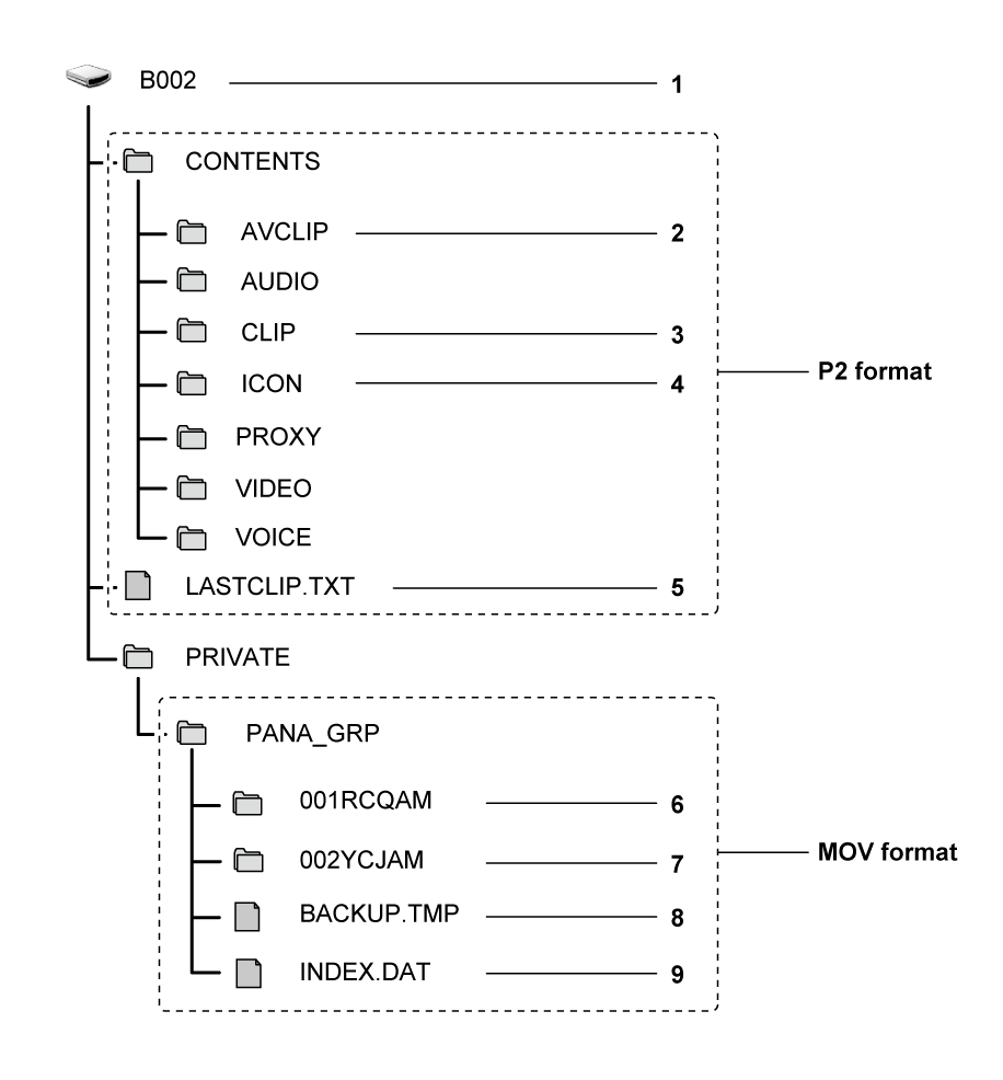 co_other_sdcard_directory_P2MOV