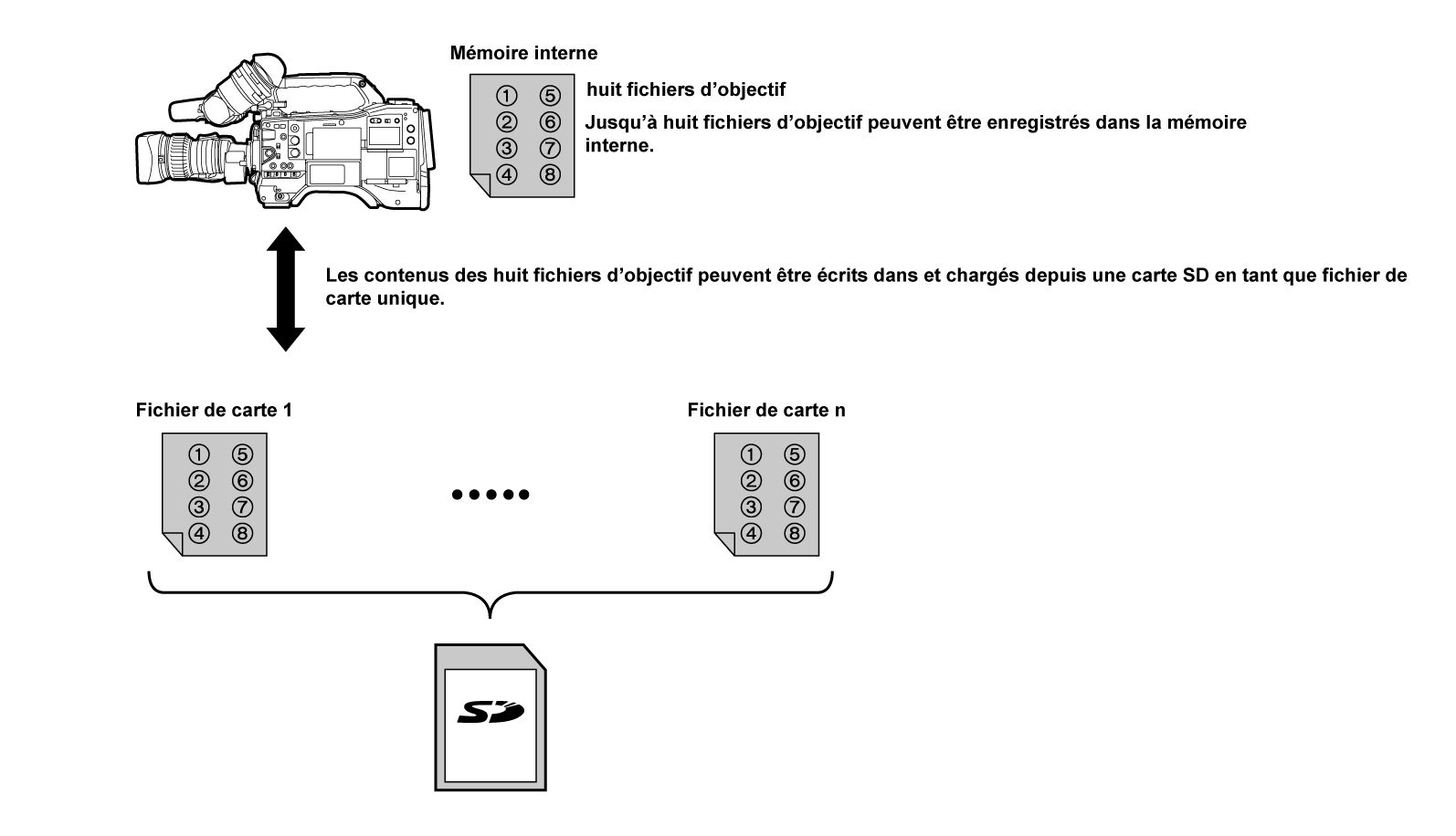 co_body_lensfile