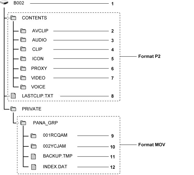 co_other_sdcard_directory_P2MOV