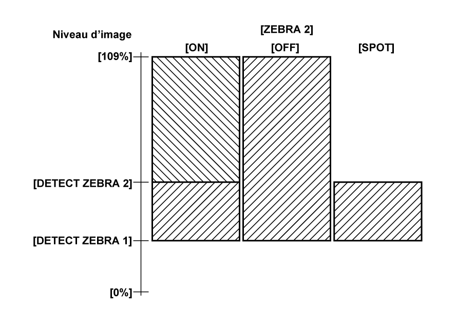 co_other_zebra