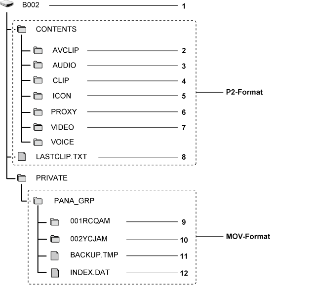 co_other_sdcard_directory_P2MOV