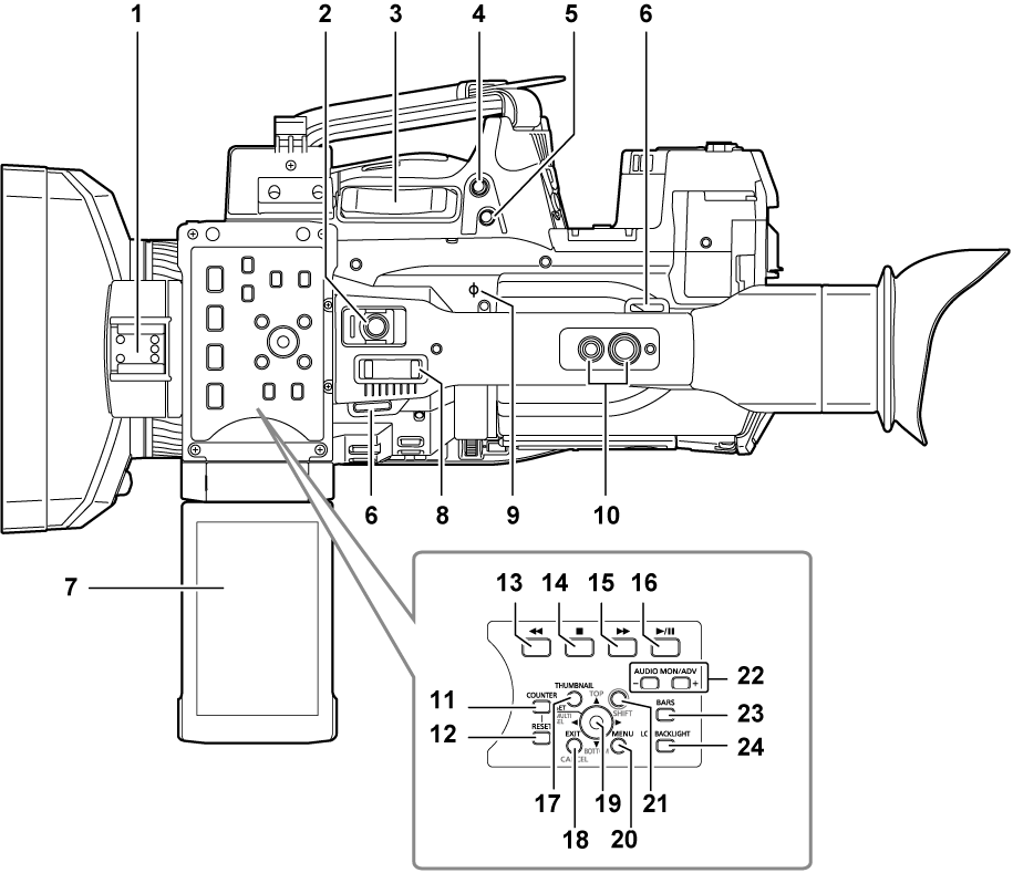 body_parts_upperside