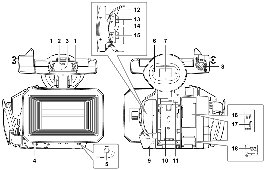 body_parts_front_backside