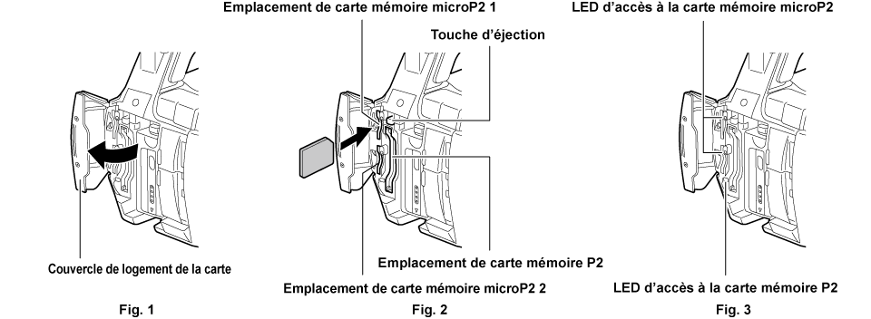 co_body_insert_P2card