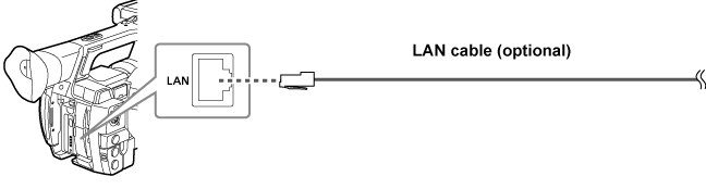 co_body_LAN