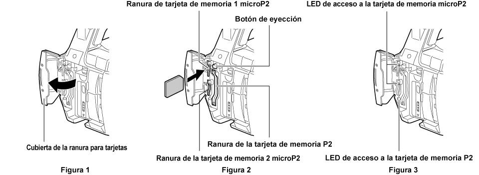 co_body_insert_P2card