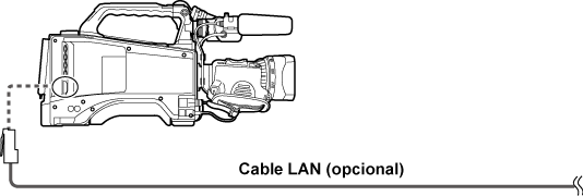 co_body_LAN