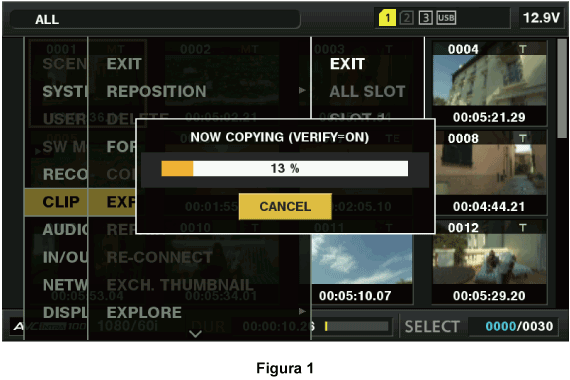 co_osd_storage_export