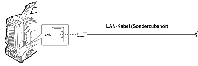 co_body_LAN