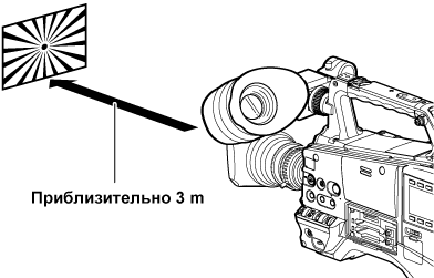 co_body_normal_lens_AF