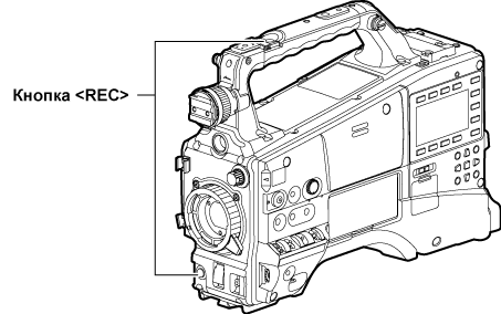 co_body_standard_rec