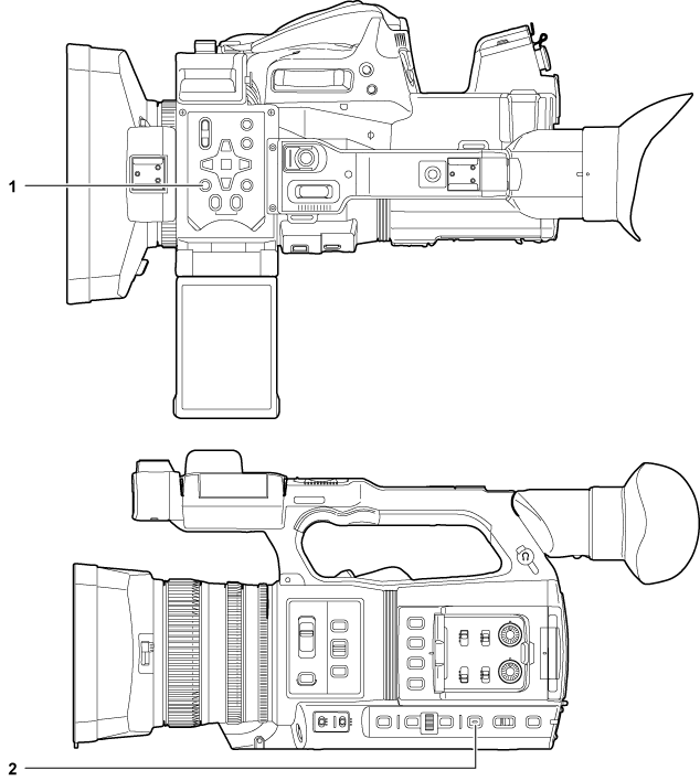 body_display_operation