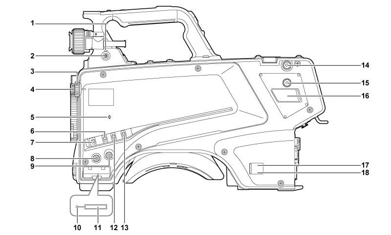 body_parts_leftside