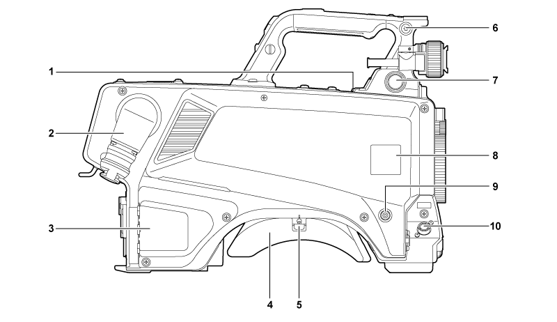 body_parts_rightside