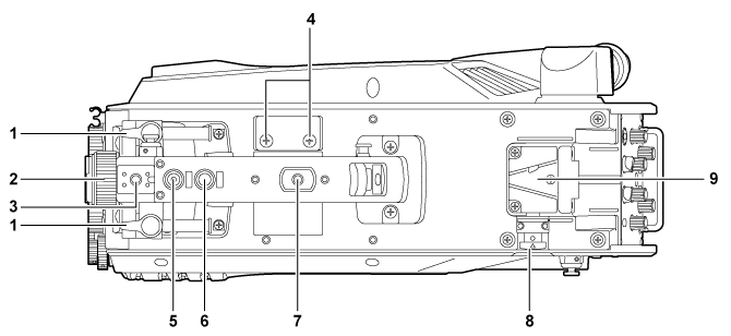 body_parts_upperside