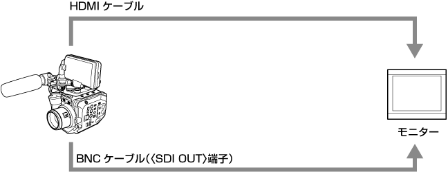 co_body_externaldevices_monitor