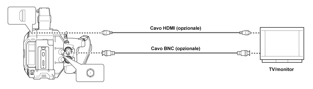 co_body_connect_tv