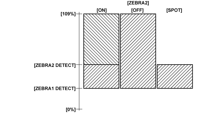 co_other_zebra