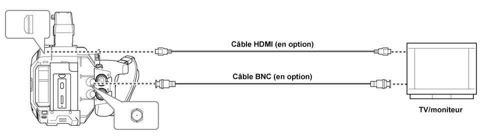 co_body_connect_tv