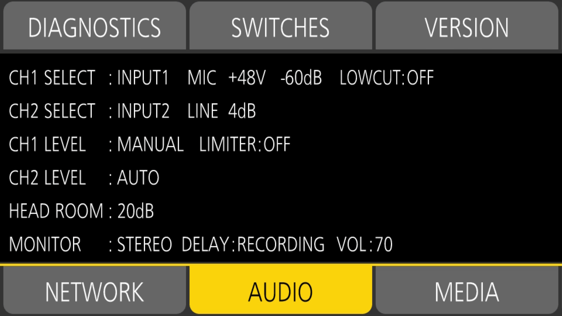 other_check_audio_input