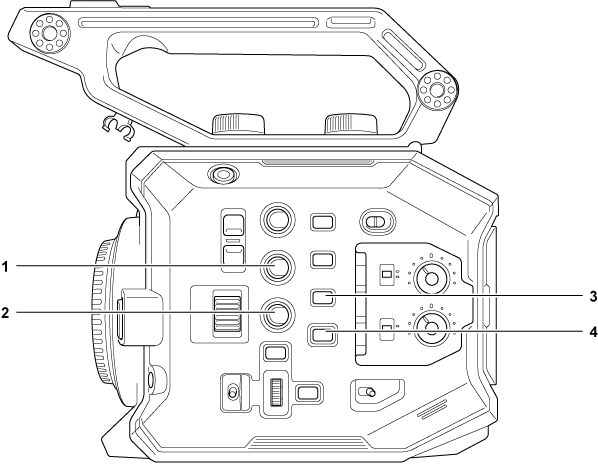 body_display_operation