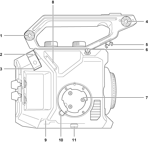 body_parts_leftside