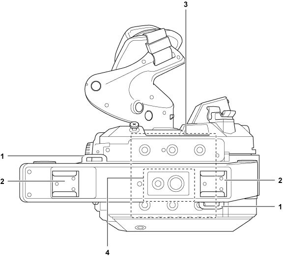 body_parts_upperside