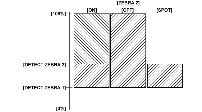 co_other_zebra