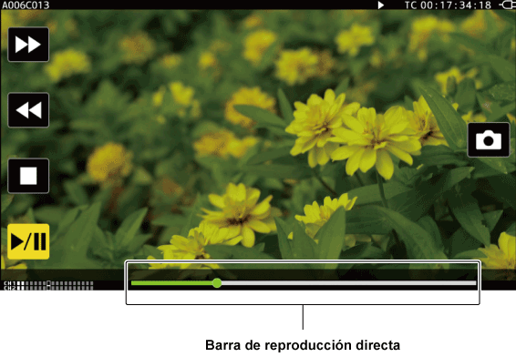 co_osd_play_icon