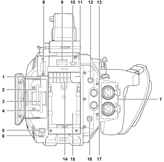 body_parts_backside