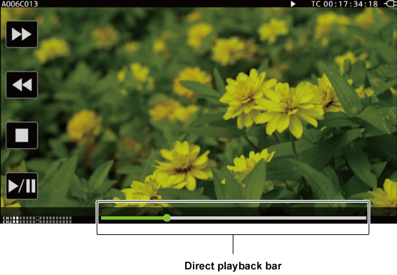 co_osd_play_icon