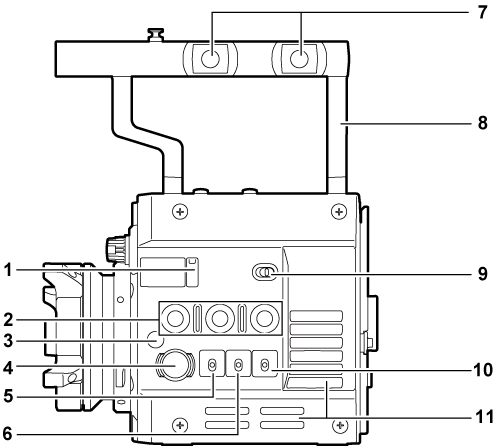 body_parts_35_leftside